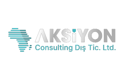 Aksiyon International Consulting